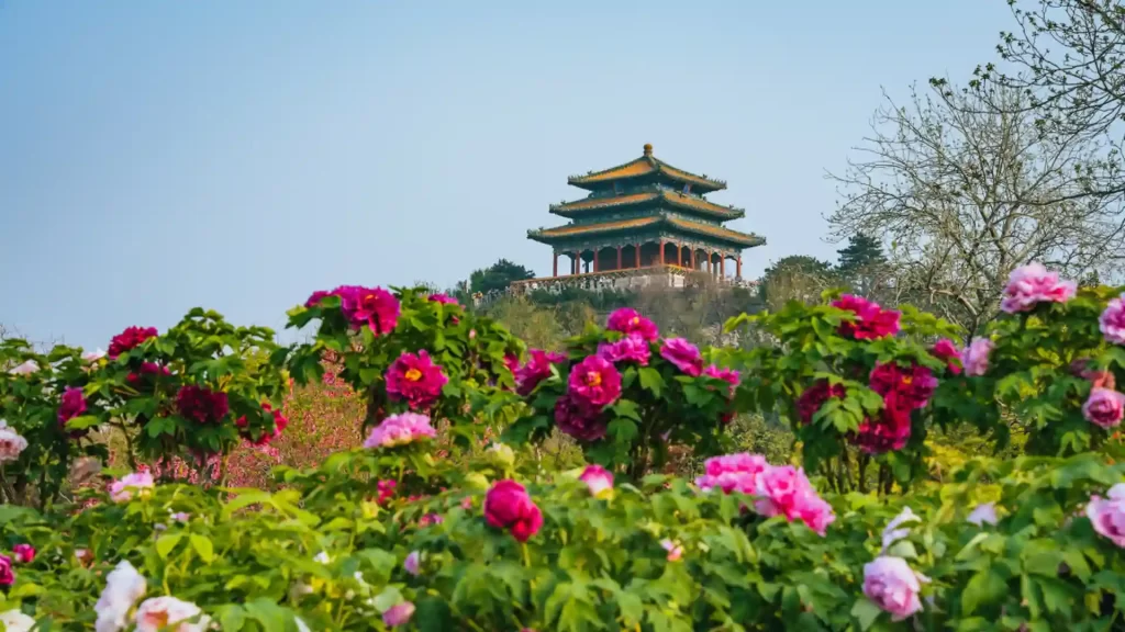 北京必玩十大景点!五一北京旅游景点推荐 北京必玩十大景点!五一北京旅游景点推荐