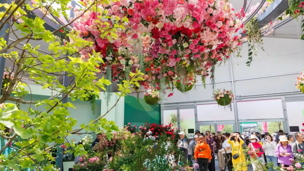 乐游北京5.19活动!惠民礼包+花海打卡攻略🌺 乐游北京5.19活动!惠民礼包+花海打卡攻略🌺