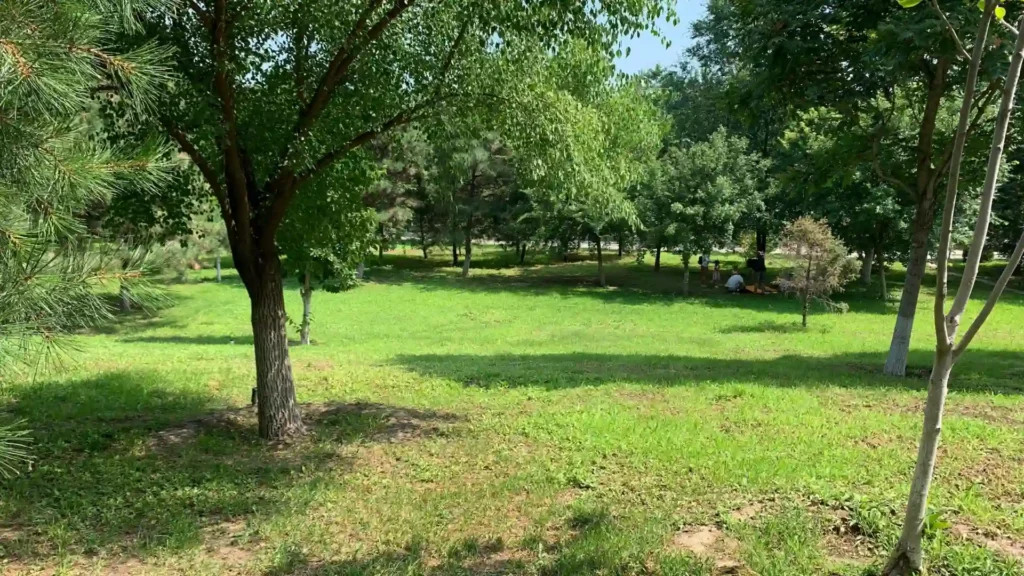 北京游玩攻略丨北京十大免费景点 北京游玩攻略丨北京十大免费景点