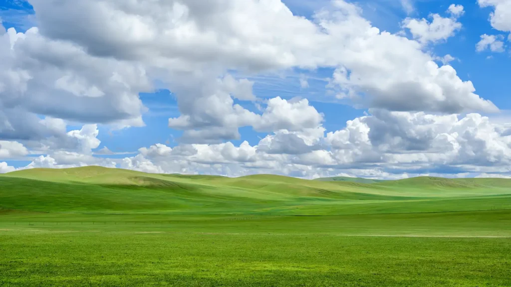 锡林郭勒大草原丨内蒙古旅游攻略必玩的景点