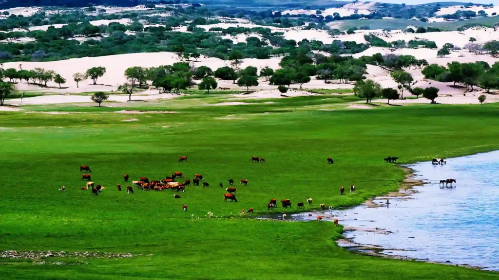 🌋 捡玛瑙上瘾!三天两夜多伦玛瑙山旅游攻略 🌋 捡玛瑙上瘾!三天两夜多伦玛瑙山旅游攻略