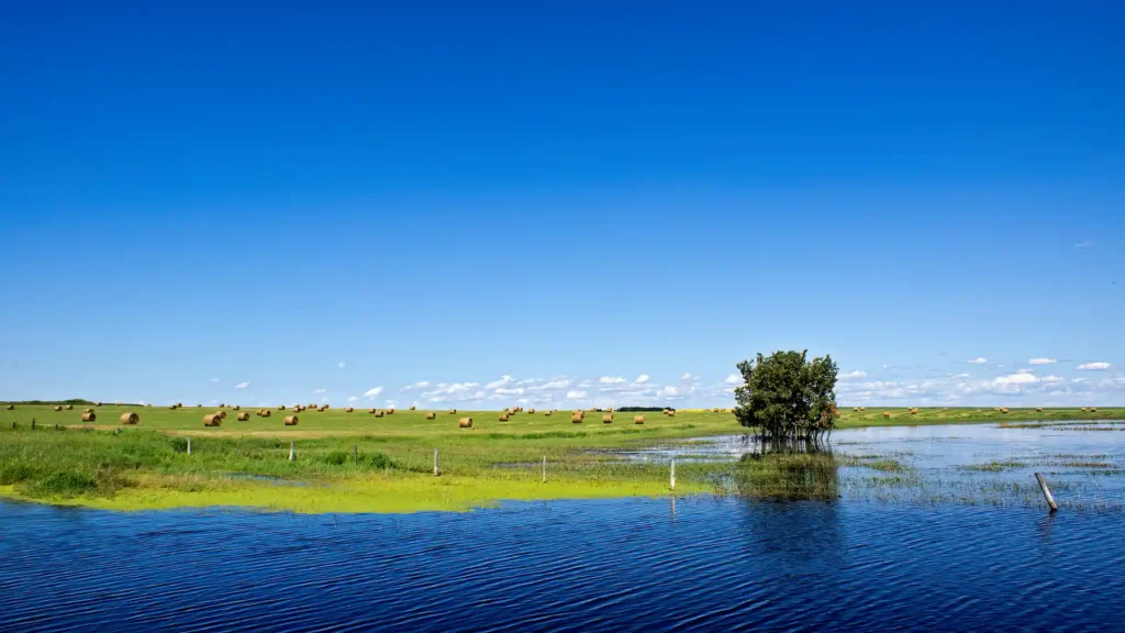 🌋 捡玛瑙上瘾!三天两夜多伦玛瑙山旅游攻略 🌋 捡玛瑙上瘾!三天两夜多伦玛瑙山旅游攻略