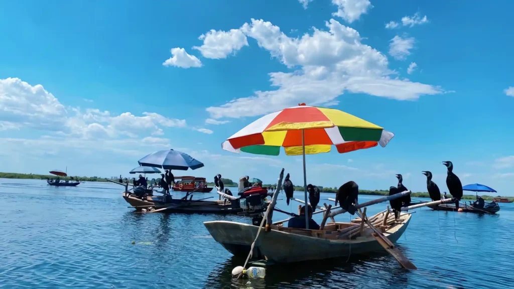 白洋淀旅游攻略丨白洋淀景点与白洋淀简介💦 白洋淀旅游攻略丨白洋淀景点与白洋淀简介💦