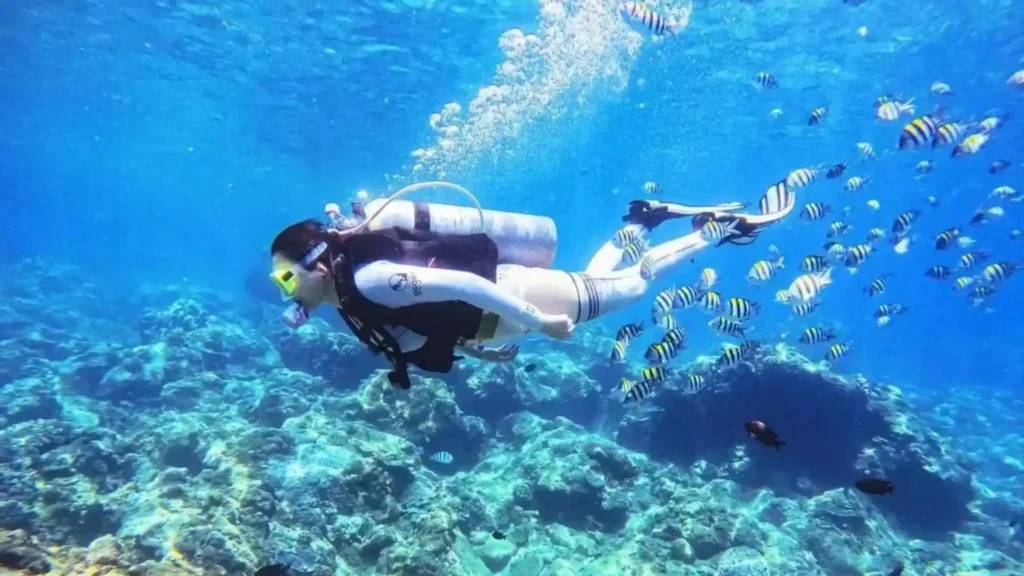 三亚放心游丨三亚旅游攻略必去景点推荐 三亚放心游丨三亚旅游攻略必去景点推荐