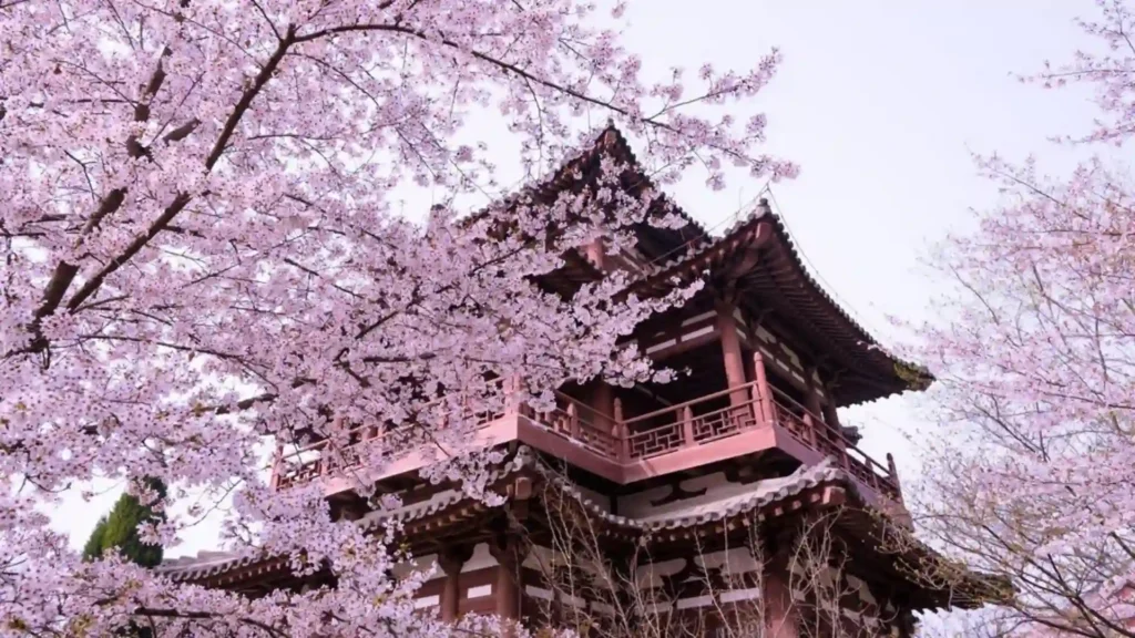 西安旅游丨西安4天3晚旅游攻略_天气_住宿_景点 西安旅游丨西安4天3晚旅游攻略_天气_住宿_景点