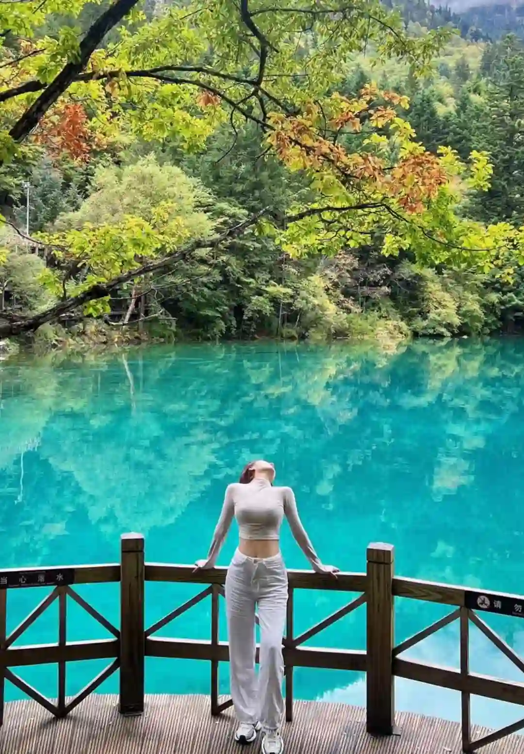 九寨沟旅游攻略丨九寨沟几月份去最好 九寨沟旅游攻略丨九寨沟几月份去最好