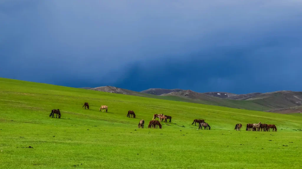 旅游景点哪里好玩？旅游景点推荐