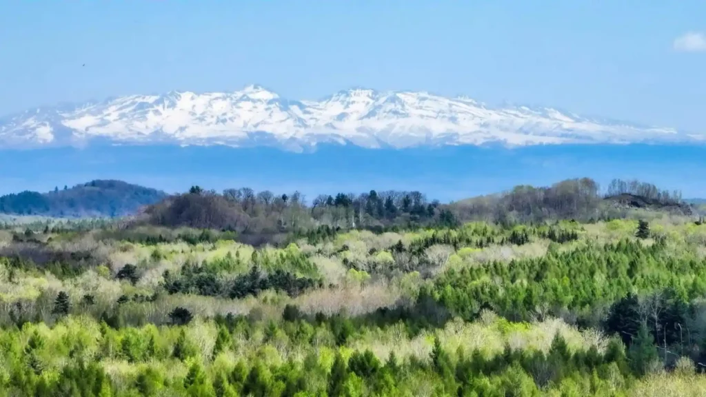 长白山旅游攻略丨长白山在哪,几月份去最好 长白山旅游攻略丨长白山在哪,几月份去最好