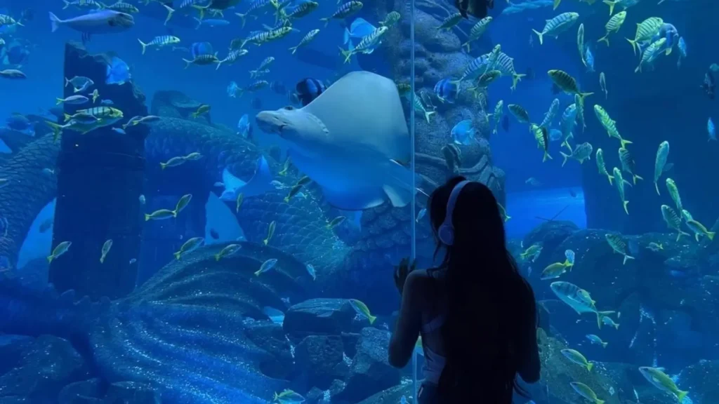 这份“大国工程”打卡清单,带你开启炫酷之旅 这份“大国工程”打卡清单,带你开启炫酷之旅