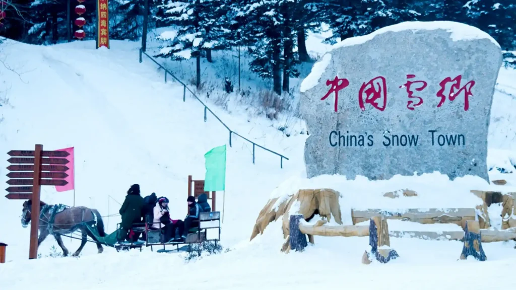 出圈了!这趟冰雪环线专列,重新定义“跨年之旅” 出圈了!这趟冰雪环线专列,重新定义“跨年之旅”